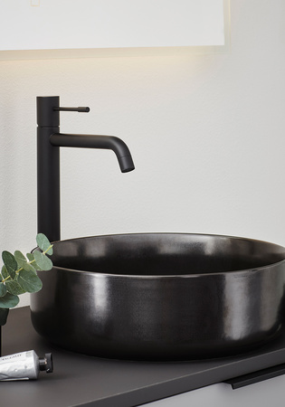 Tvättställsblandare Fine Hög Svart