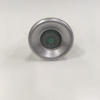 Polaris Massage/Steam Jet